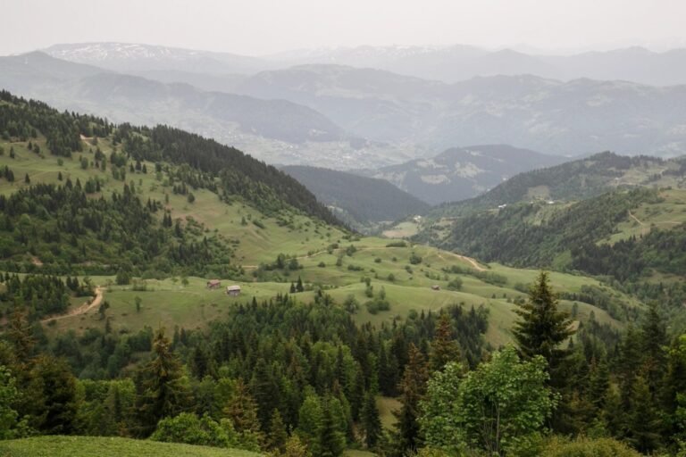 Green hilly landscape